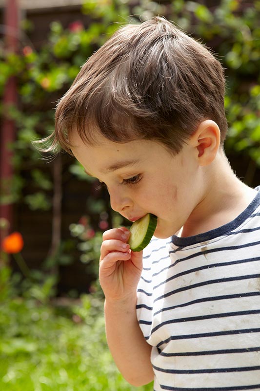 Ein kleiner Junge isst eine Gurkenscheibe draußen im Garten