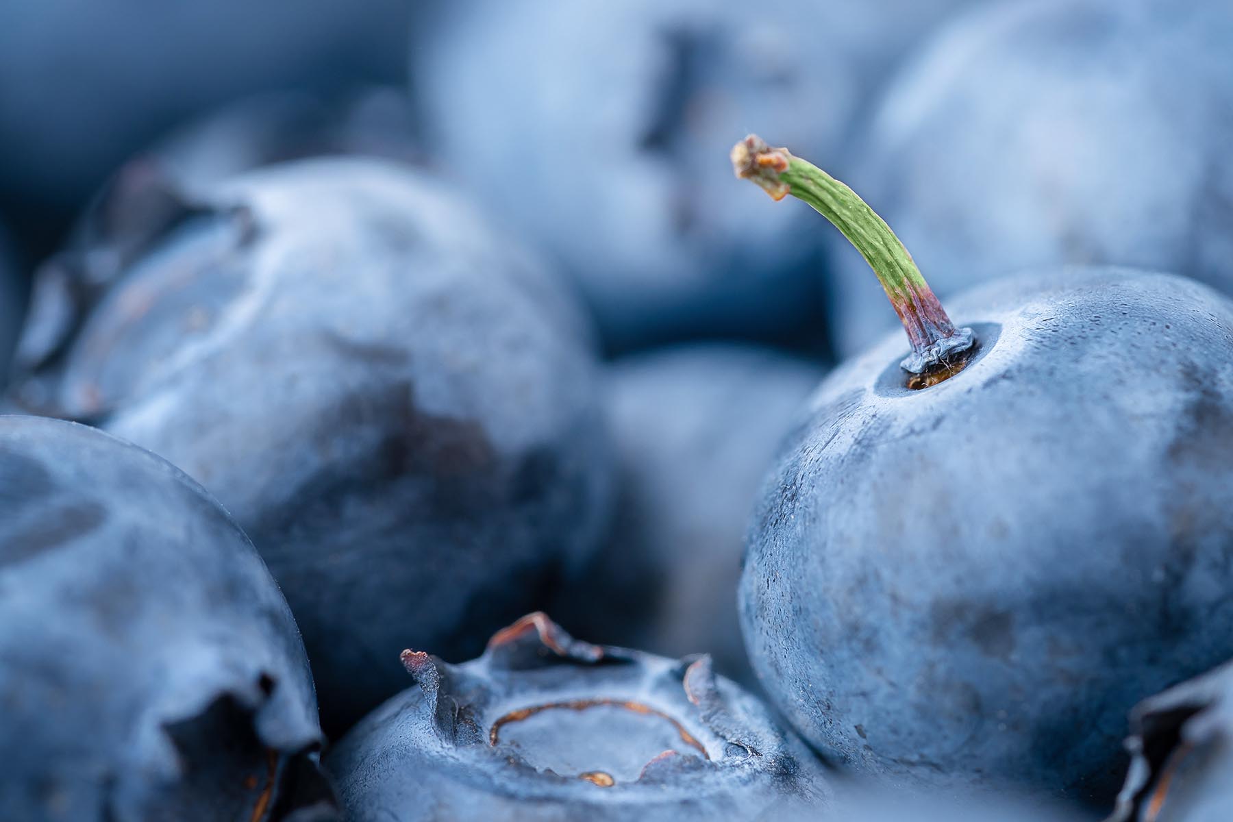 Eine Nachaufnahme von Blaubeeren